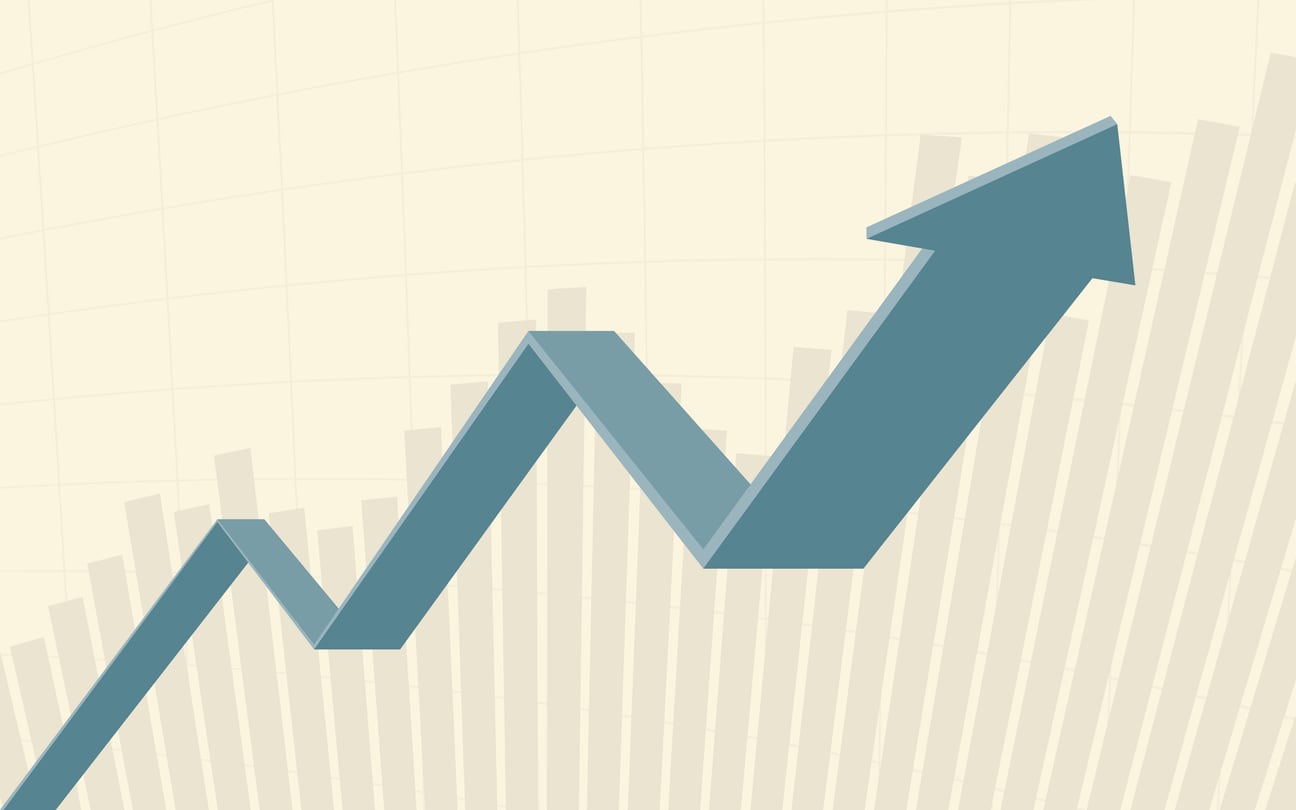 New Zealand Economy Turns Corner: Recovery Gains Momentum
